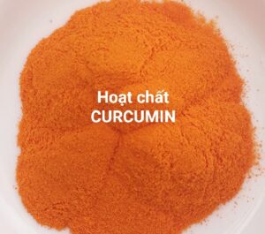 curcumin 2